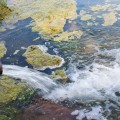 The Sources of Water Pollution in North-Central Colorado
