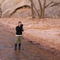 Monitoring Water Quality in North-Central Colorado: An Expert's Perspective